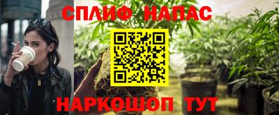 индика Нягань