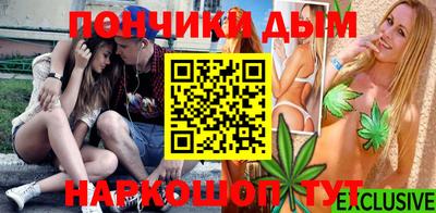 индика Нягань