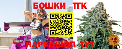 индика Нягань